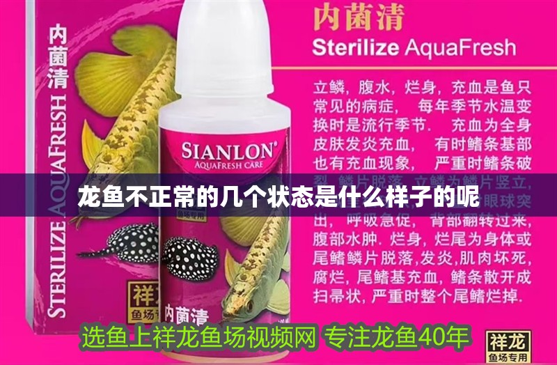 龍魚不正常的幾個狀態(tài)是什么樣子的呢