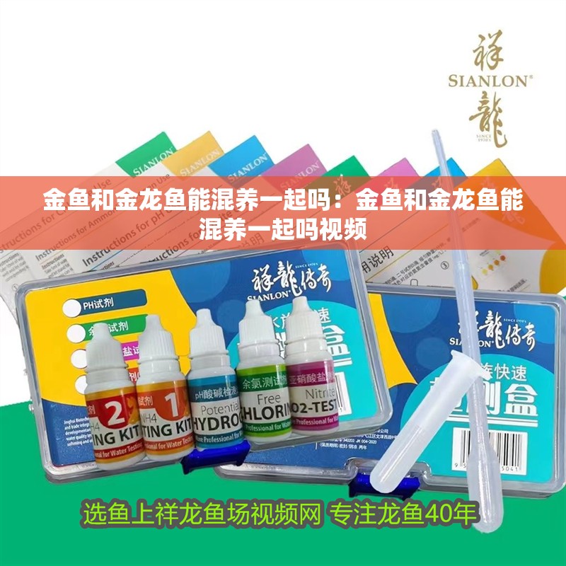 金魚和金龍魚能混養一起嗎：金魚和金龍魚能混養一起嗎視頻
