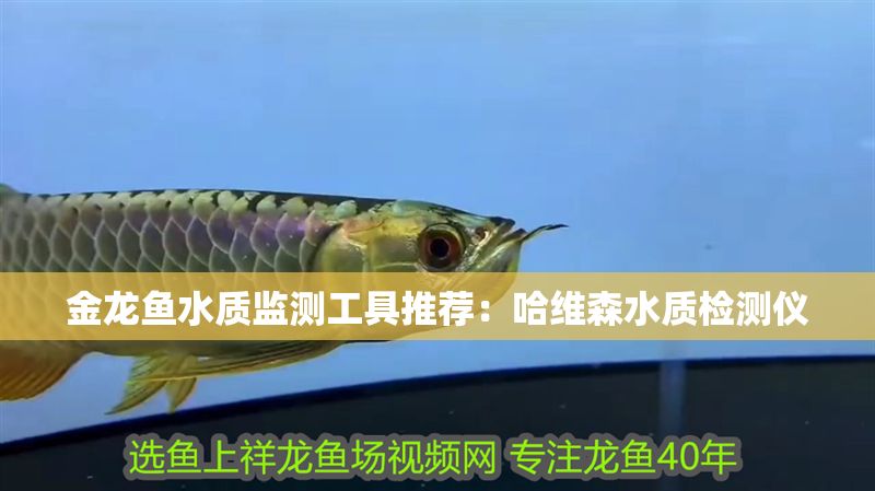 金龍魚水質(zhì)監(jiān)測工具推薦：哈維森水質(zhì)檢測儀