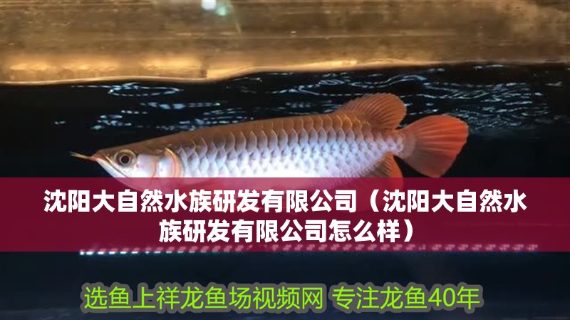 沈陽大自然水族研發(fā)有限公司（沈陽大自然水族研發(fā)有限公司怎么樣）