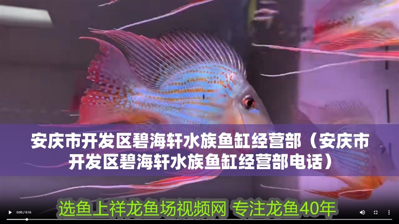 安慶市開(kāi)發(fā)區(qū)碧海軒水族魚(yú)缸經(jīng)營(yíng)部（安慶市開(kāi)發(fā)區(qū)碧海軒水族魚(yú)缸經(jīng)營(yíng)部電話）