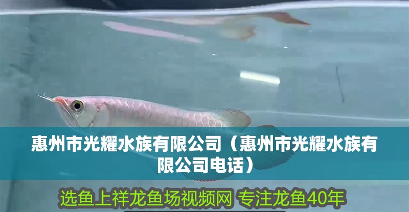 惠州市光耀水族有限公司（惠州市光耀水族有限公司電話）