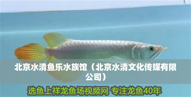 北京水清魚樂水族館（北京水清文化傳媒有限公司）