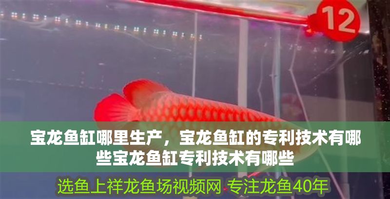 寶龍魚缸哪里生產，寶龍魚缸的專利技術有哪些寶龍魚缸專利技術有哪些