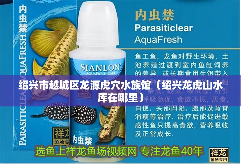 紹興市越城區(qū)龍?jiān)椿⒀ㄋ屦^（紹興龍虎山水庫在哪里）