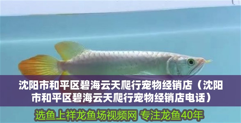 沈陽市和平區碧海云天爬行寵物經銷店(沈陽市和平區碧海云天爬行寵物經銷店電話) 全國水族館企業名錄 第2張 沈陽市和平區碧海云天爬行寵物經銷店(沈陽市和平區碧海云天爬行寵物經銷店電話) 沈陽市和平區碧海云天爬行寵物經銷店(沈陽市和平區碧海云天爬行寵物經銷店電話) 全國水族館企業名錄 第2張