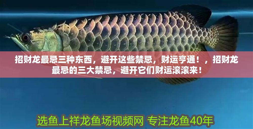 詳細閱讀:招財龍最忌三種東西,避開這些禁忌,財運亨通!,招財龍最忌的三大禁忌,避開它們財運滾滾來! 招財龍最忌三種東西,避開這些禁忌,財運亨通!,招財龍最忌的三大禁忌,避開它們財運滾滾來!