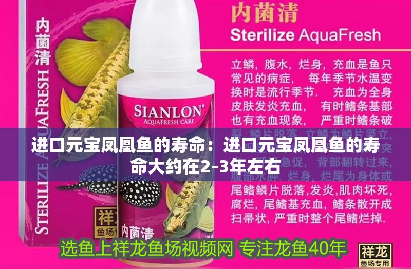 進口元寶鳳凰魚的壽命：進口元寶鳳凰魚的壽命大約在2-3年左右
