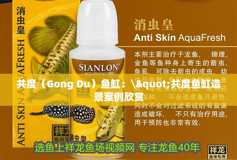 共度（Gong Du）魚缸：\"共度魚缸造景案例欣賞