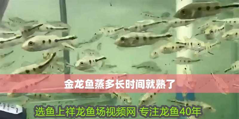 金龍魚蒸多長時間就熟了