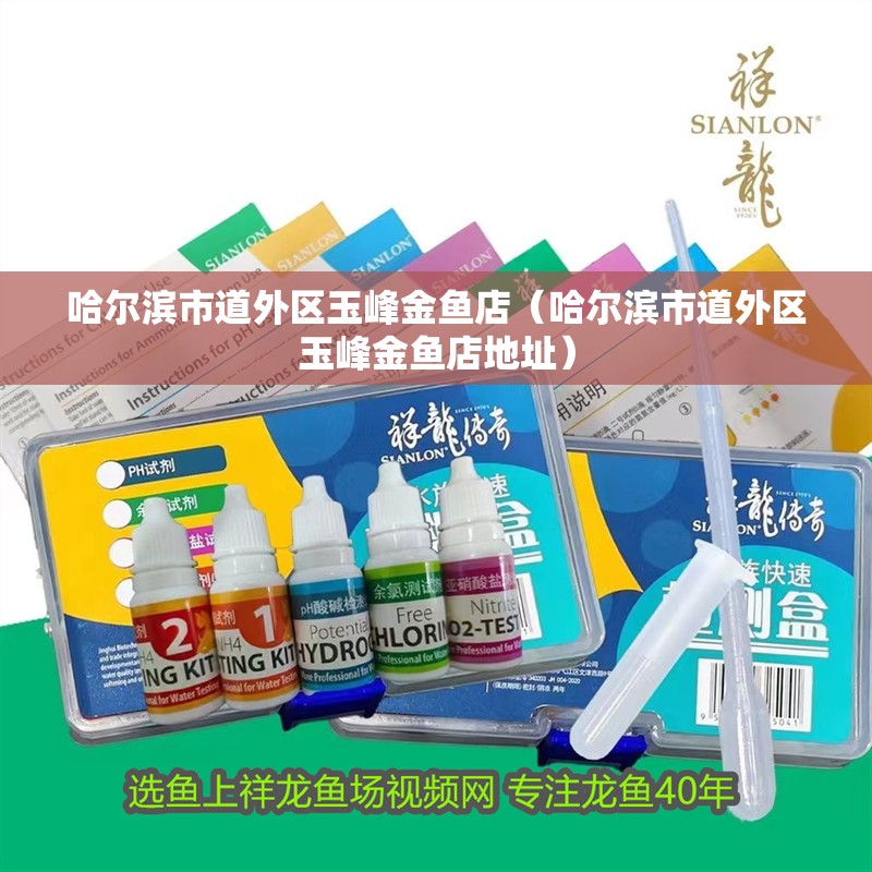 哈爾濱市道外區玉峰金魚店（哈爾濱市道外區玉峰金魚店地址）