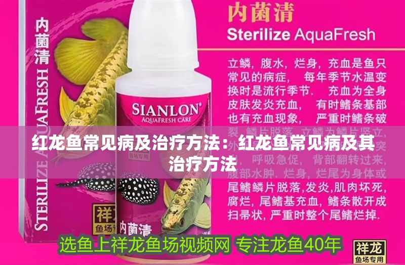 紅龍魚常見病及治療方法：紅龍魚常見病及其治療方法