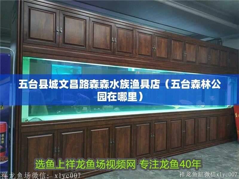 五臺縣城文昌路森森水族漁具店（五臺森林公園在哪里）