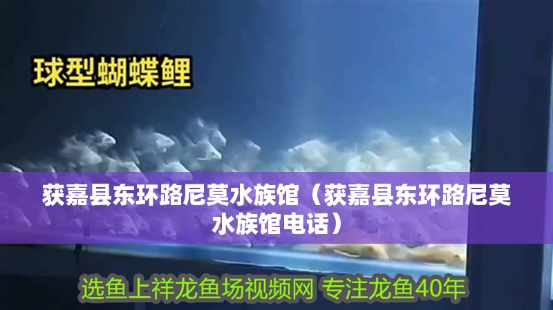 獲嘉縣東環路尼莫水族館（獲嘉縣東環路尼莫水族館電話）