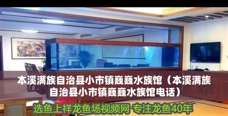 本溪滿族自治縣小市鎮巍巍水族館（本溪滿族自治縣小市鎮巍巍水族館電話）