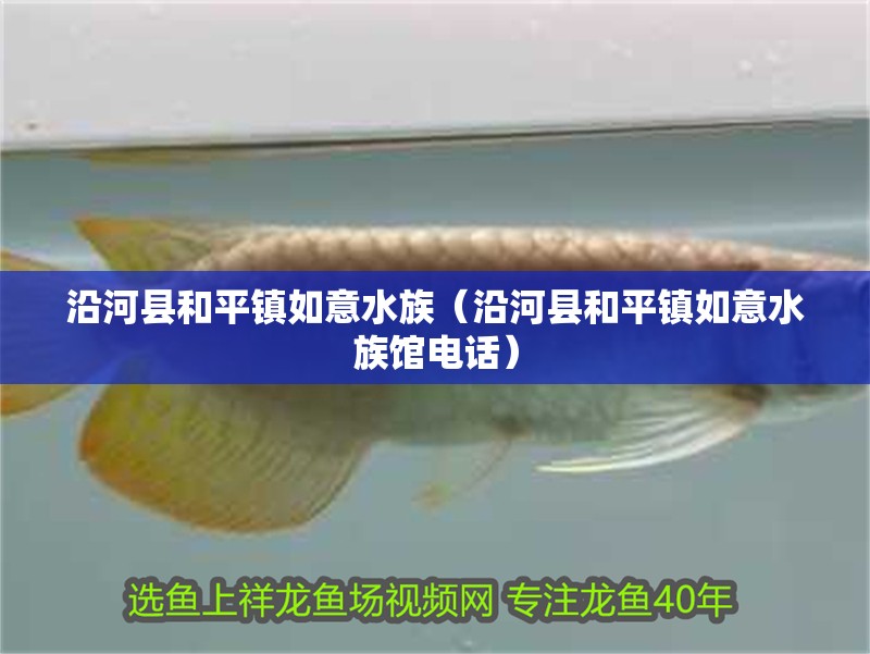 沿河縣和平鎮如意水族（沿河縣和平鎮如意水族館電話）
