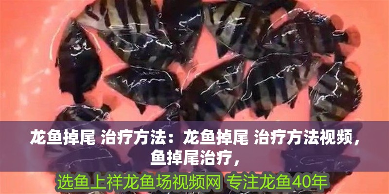 龍魚掉尾 治療方法：龍魚掉尾 治療方法視頻，魚掉尾治療，