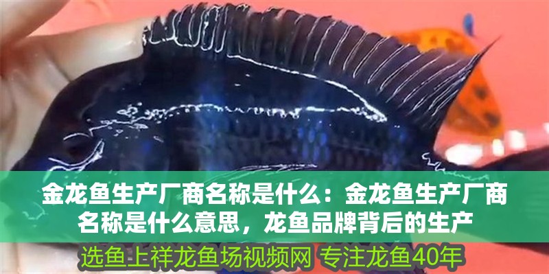 金龍魚生產(chǎn)廠商名稱是什么：金龍魚生產(chǎn)廠商名稱是什么意思，龍魚品牌背后的生產(chǎn)