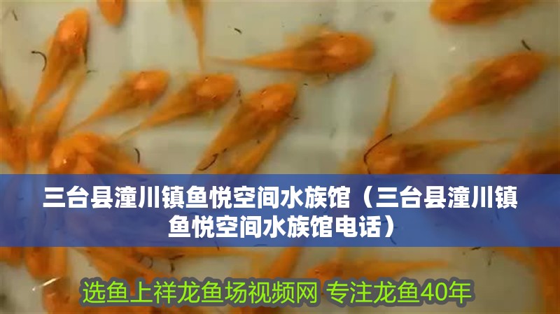 三臺縣潼川鎮魚悅空間水族館（三臺縣潼川鎮魚悅空間水族館電話）