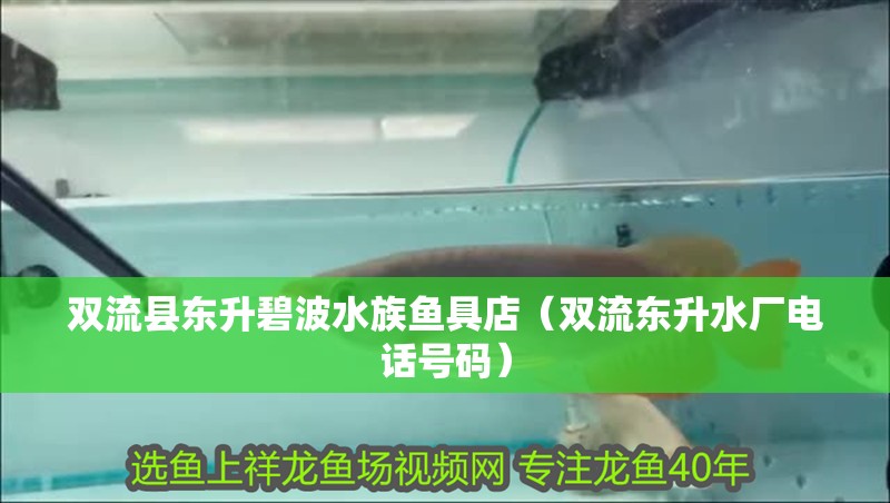 雙流縣東升碧波水族魚具店（雙流東升水廠電話號(hào)碼）