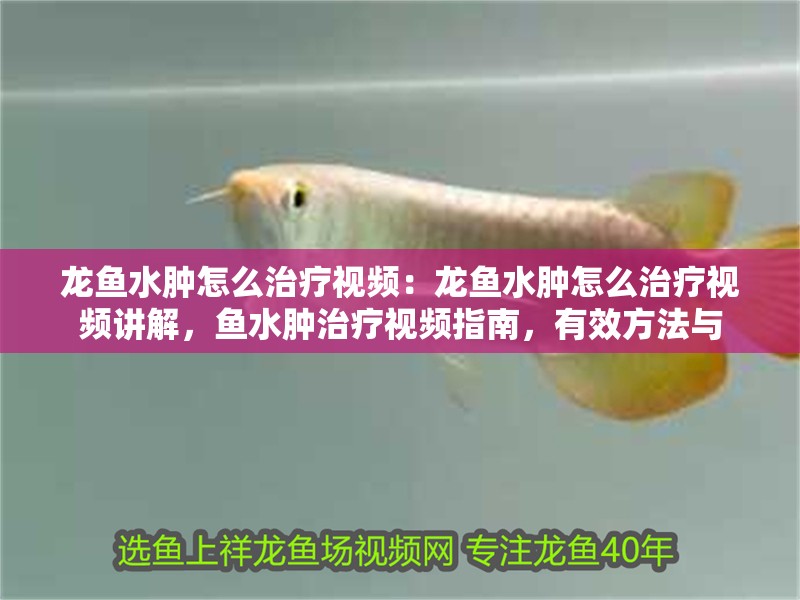 龍魚水腫怎么治療視頻：龍魚水腫怎么治療視頻講解，魚水腫治療視頻指南，有效方法與