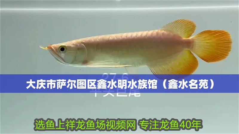 大慶市薩爾圖區(qū)鑫水明水族館（鑫水名苑）