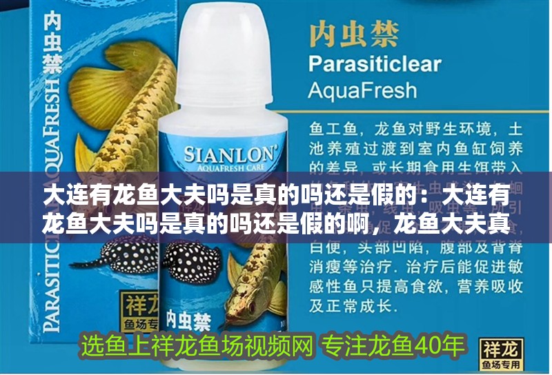 大連有龍魚大夫嗎是真的嗎還是假的：大連有龍魚大夫嗎是真的嗎還是假的啊，龍魚大夫真偽探討