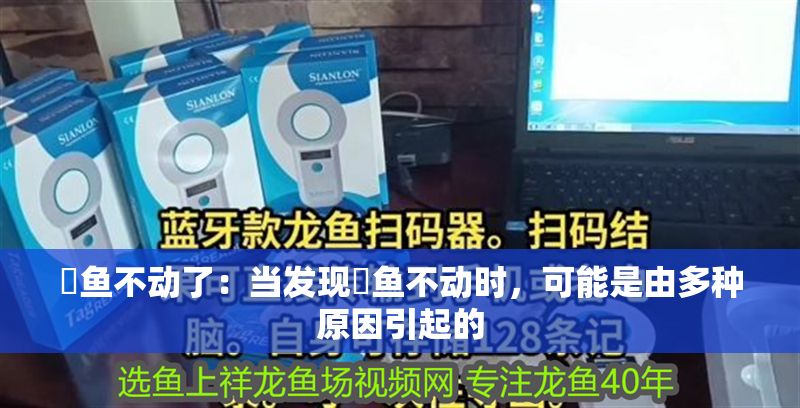 魟魚不動了：當發現魟魚不動時，可能是由多種原因引起的