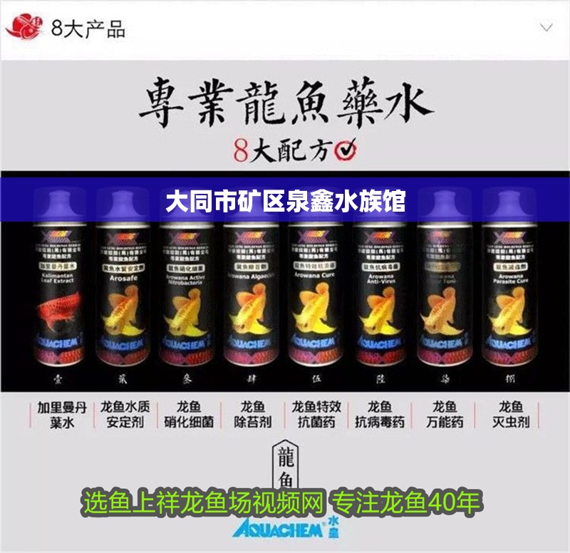 大同市礦區泉鑫水族館