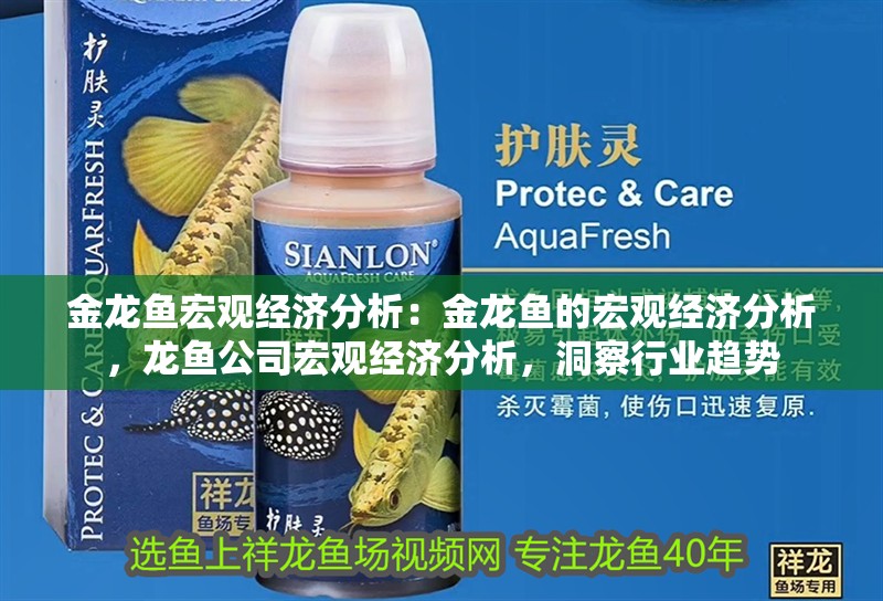 金龍魚宏觀經濟分析：金龍魚的宏觀經濟分析，龍魚公司宏觀經濟分析，洞察行業趨勢