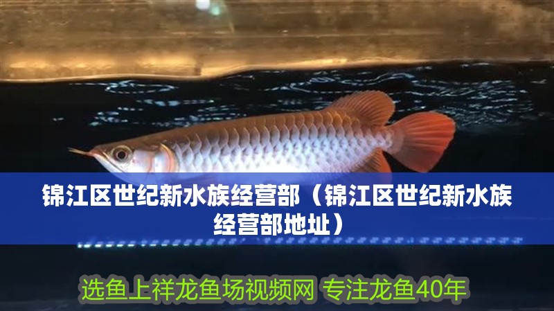 錦江區(qū)世紀新水族經(jīng)營部(錦江區(qū)世紀新水族經(jīng)營部地址) 全國水族館企業(yè)名錄 第2張 錦江區(qū)世紀新水族經(jīng)營部(錦江區(qū)世紀新水族經(jīng)營部地址) 錦江區(qū)世紀新水族經(jīng)營部(錦江區(qū)世紀新水族經(jīng)營部地址) 全國水族館企業(yè)名錄 第2張