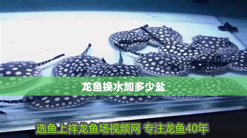 龍魚換水加多少鹽