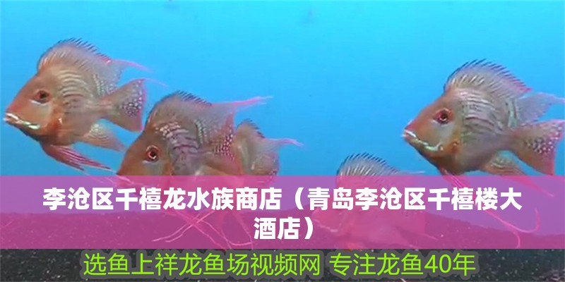 李滄區千禧龍水族商店（青島李滄區千禧樓大酒店）