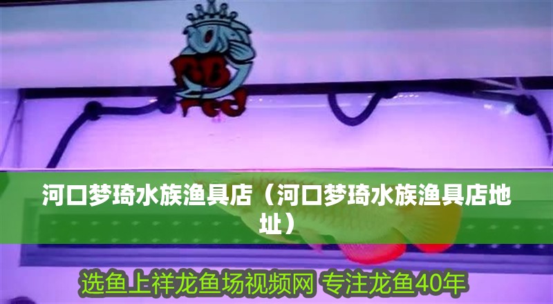 河口夢琦水族漁具店（河口夢琦水族漁具店地址）