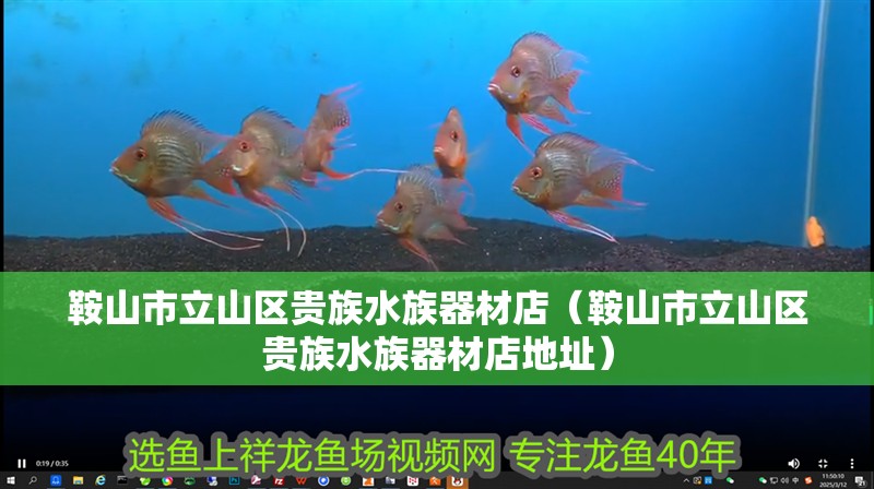 鞍山市立山區貴族水族器材店（鞍山市立山區貴族水族器材店地址）