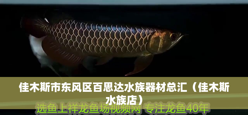 佳木斯市東風區(qū)百思達水族器材總匯（佳木斯水族店）
