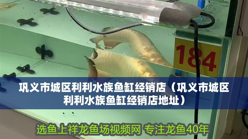 鞏義市城區利利水族魚缸經銷店（鞏義市城區利利水族魚缸經銷店地址）