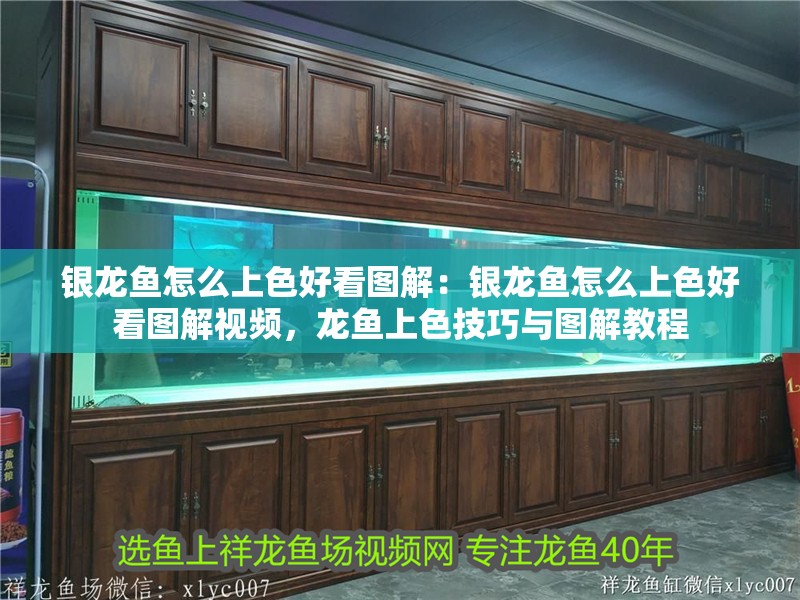 銀龍魚怎么上色好看圖解：銀龍魚怎么上色好看圖解視頻，龍魚上色技巧與圖解教程