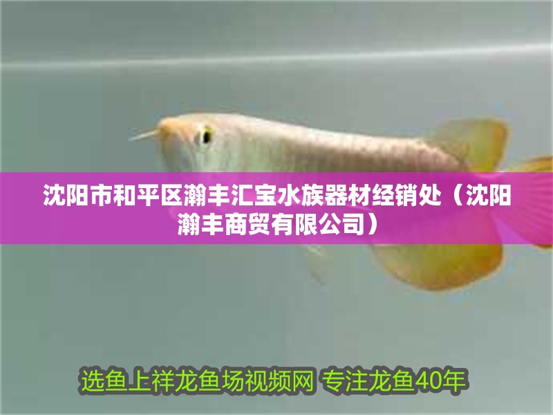 沈陽市和平區瀚豐匯寶水族器材經銷處（沈陽瀚豐商貿有限公司）