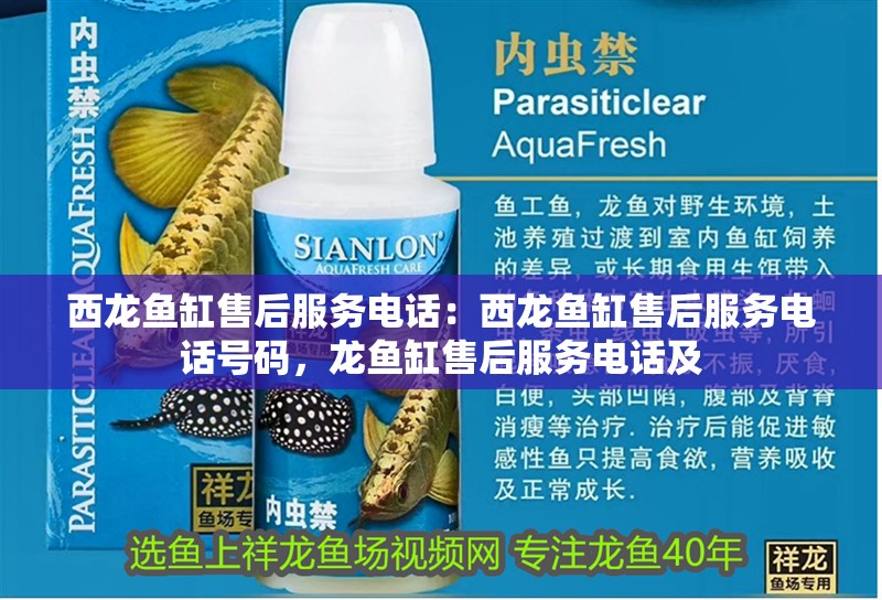 西龍魚缸售后服務(wù)電話：西龍魚缸售后服務(wù)電話號(hào)碼，龍魚缸售后服務(wù)電話及