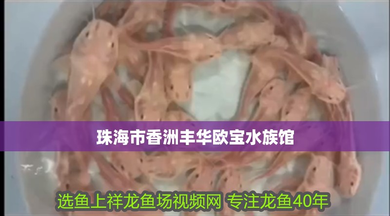 珠海市香洲豐華歐寶水族館