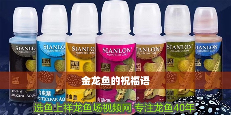 金龍魚的祝福語