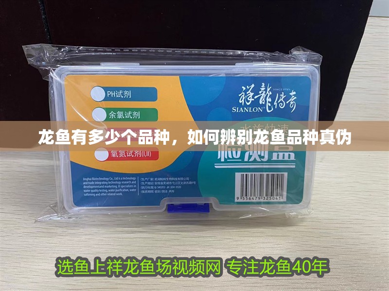 龍魚有多少個品種,如何辨別龍魚品種真偽 龍魚百科 第6張 龍魚有多少個品種,如何辨別龍魚品種真偽 龍魚有多少個品種,如何辨別龍魚品種真偽 龍魚百科 第6張