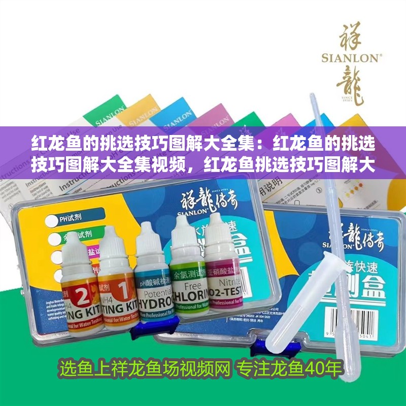 紅龍魚的挑選技巧圖解大全集：紅龍魚的挑選技巧圖解大全集視頻，紅龍魚挑選技巧圖解大全集，視頻教程詳解