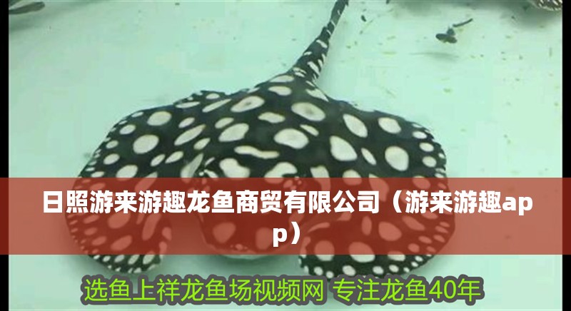 日照游來游趣龍魚商貿有限公司（游來游趣app）