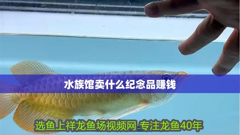 水族館賣什么紀念品賺錢