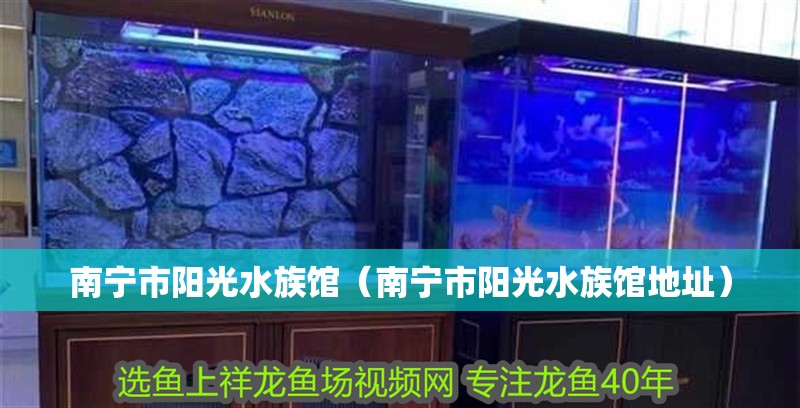 南寧市陽光水族館（南寧市陽光水族館地址） 南寧市陽光水族館（南寧市陽光水族館地址） 全國水族館企業名錄 第2張