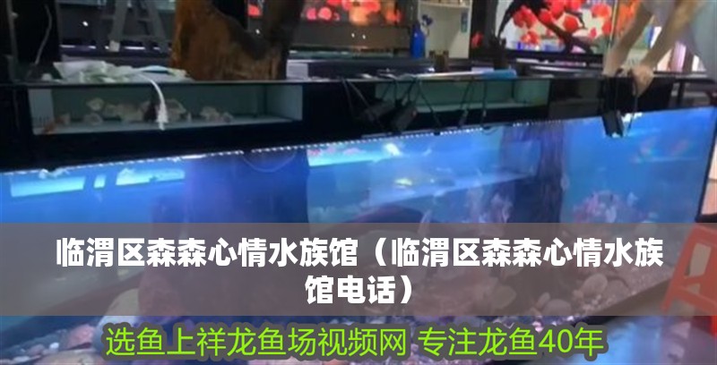 臨渭區森森心情水族館（臨渭區森森心情水族館電話）
