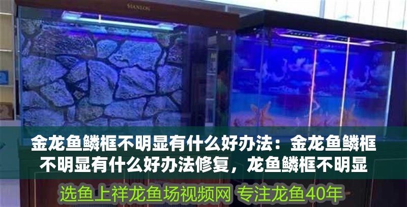 金龍魚鱗框不明顯有什么好辦法：金龍魚鱗框不明顯有什么好辦法修復，龍魚鱗框不明顯