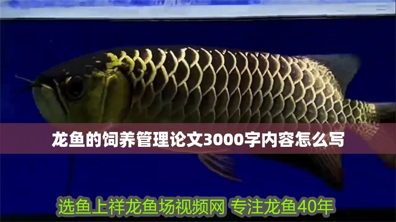 龍魚的飼養管理論文3000字內容怎么寫